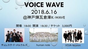 6/16 Voice wave